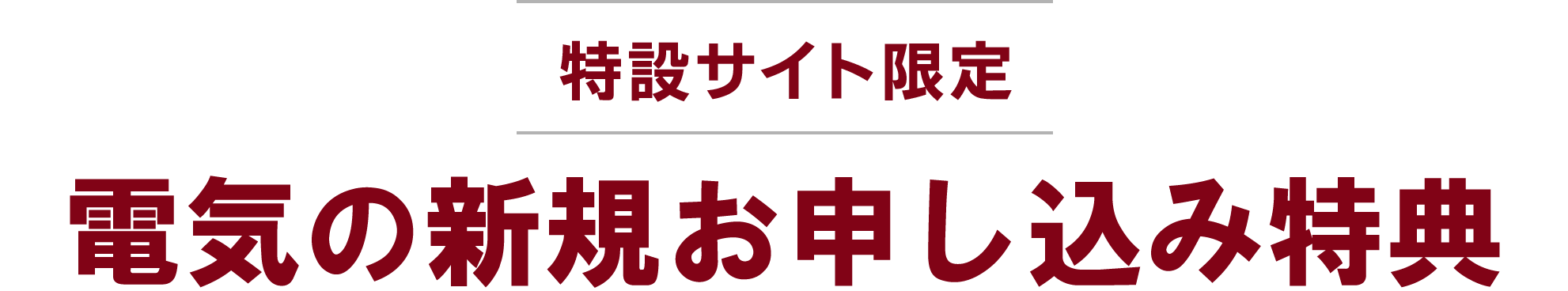 [特設サイト限定]電気のおトクな特典