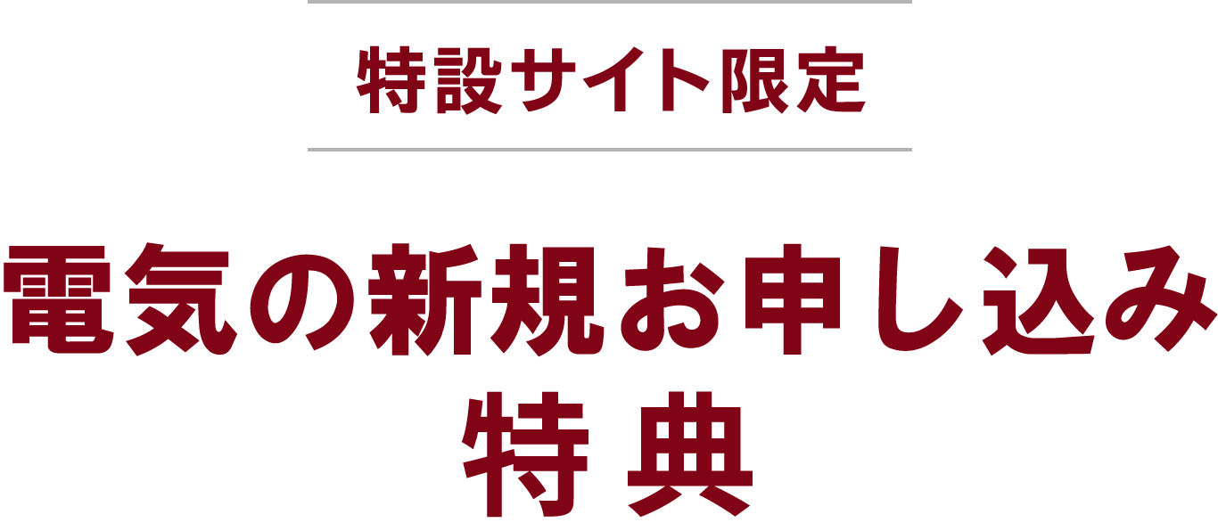 [特設サイト限定]電気のおトクな特典